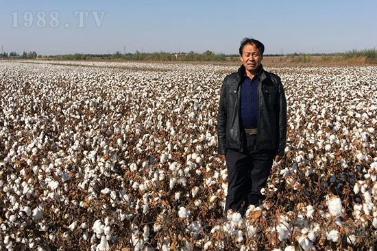 ���r(n��ng)���½������k��̎ؓ؟�ˣ�ͬ·ͬ�й��l(f��)չ