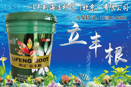 ���������Ч����ô�����Ȃ��y(t��ng)���Ϻ�����