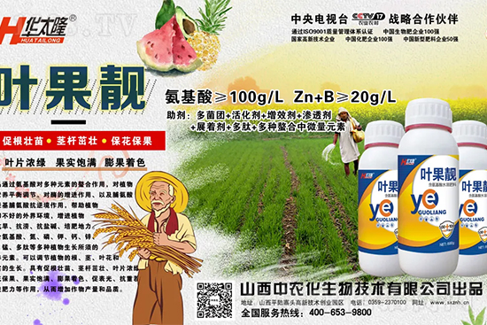 蘋果果個小是什么原因?解決對策有哪些?