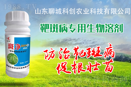 �S�ϰа߲�Σ��������������δ�ʩ����Щ��