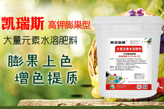     ���M(j��n)���������ɫ���@��(g��)�䷽��(zh��n)�]�e(cu��)���������|(zh��)���a(ch��n)��