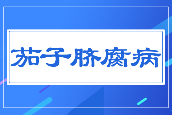 ����Ě����