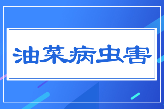 �Ͳ˲��x��