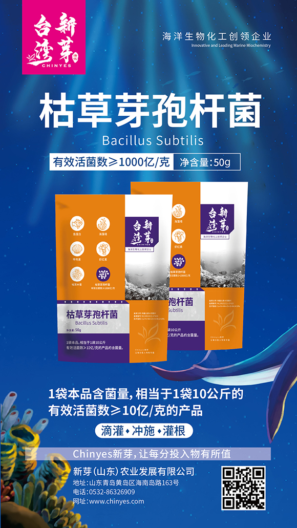 ǧ�|�ݲ�ѿ�ߗU��-�_����ѿ3