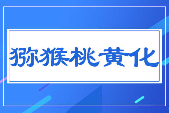 �J�����S��