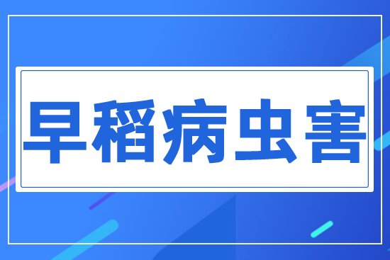 �絾���x(ch��ng)��