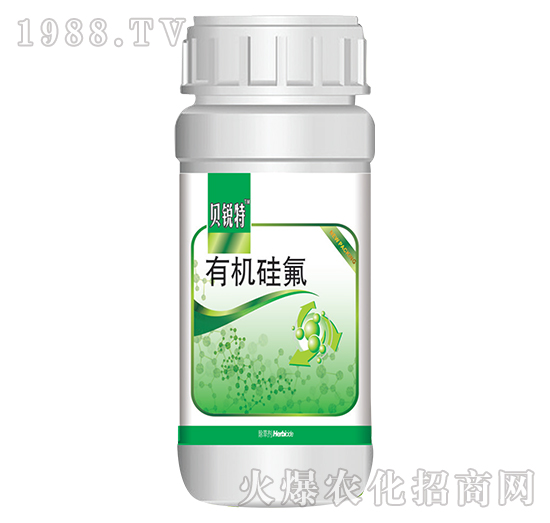 �ЙC���-ؐ�J��-�Ұ�r��