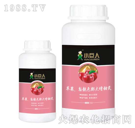 �O�������nɫ��������`�{(di��o)��(ji��)��-С����