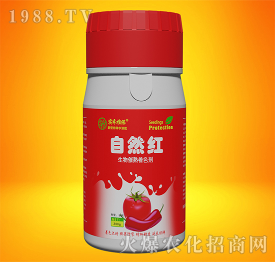 ����߼t��ɫ��-��Ȼ�t-����