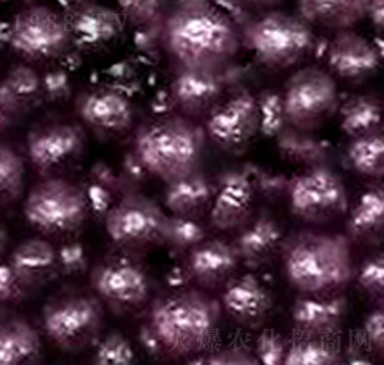 ��֬�ЙC(j��)��-�����S