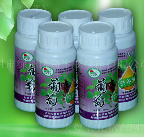 ���ѠI(y��ng)�B(y��ng)Һ-�G��