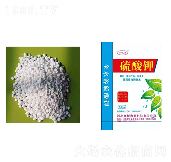 ������w��-�ߘ��r(n��ng)�I(y��)