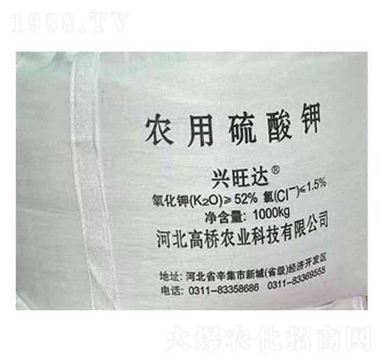 �r�������-�ߘ��r�I(y��)