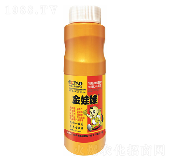 長豐金娃娃免追肥-綠速葳-長豐化工