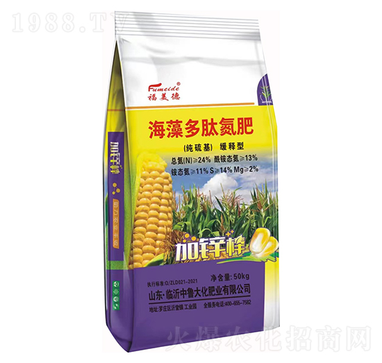 ���������ͺ�����ĵ���-���r(n��ng)