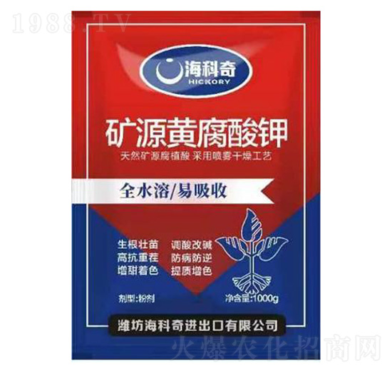 �VԴ�S�����-������