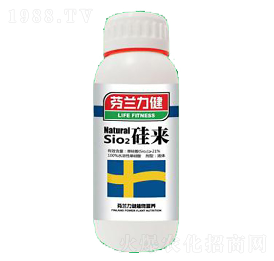 硅來(lái)-世力高生物