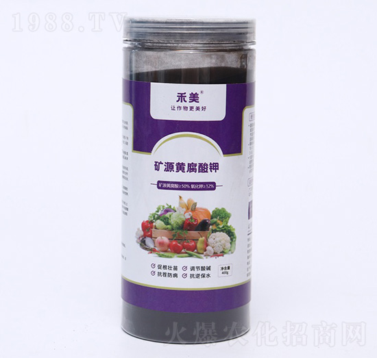 �VԴ�S�����-��������