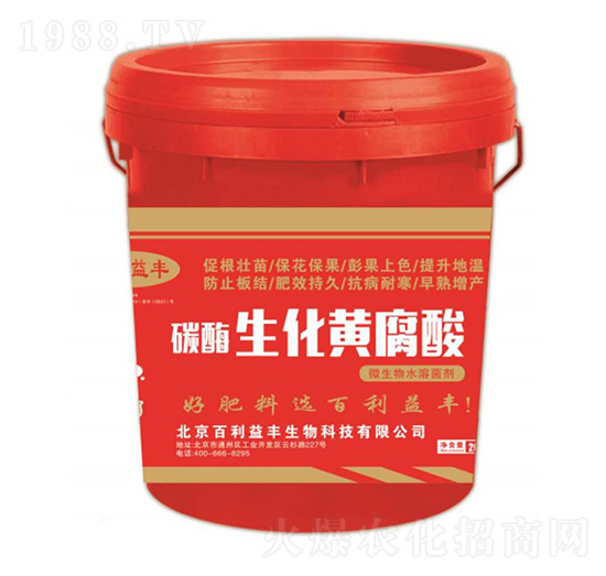 ̼ø�����S����-�������S-��ʥ����