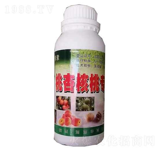 ���Ӻ��Ҍ���-�S��