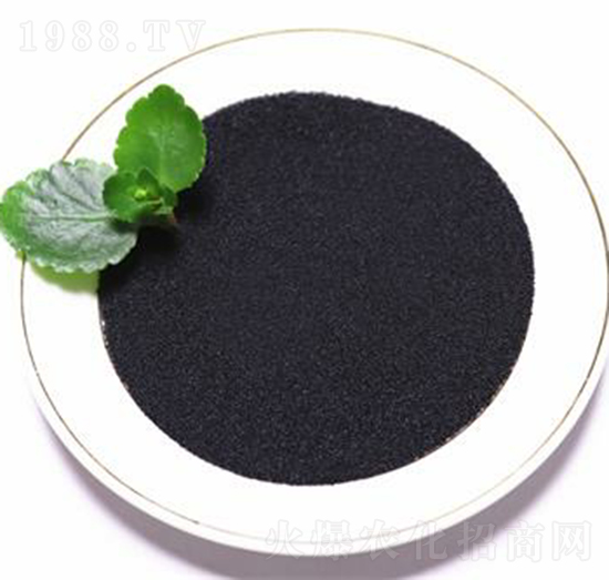 �S����⛢���-���B��