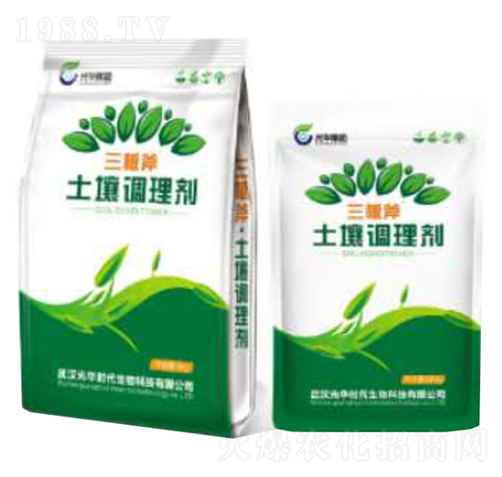 ���師�����{�턩-���A�r��