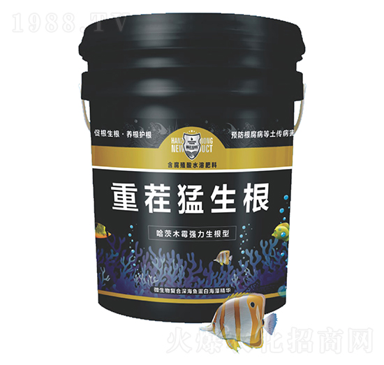 �ز�������-������r