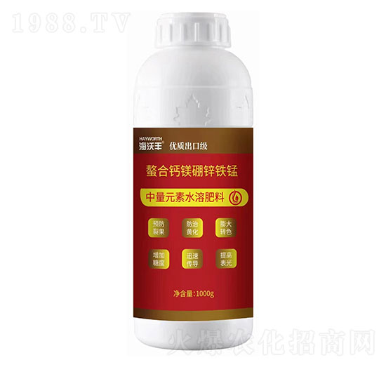 �����}�V���\�F�i-�����S-��������