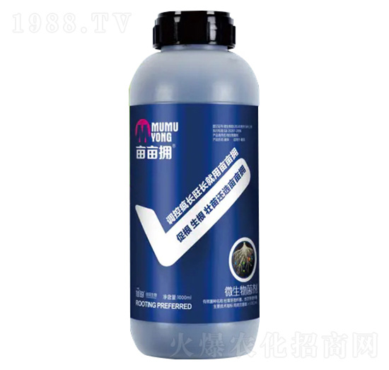 ΢�������-������-�^�ȴ���-��������