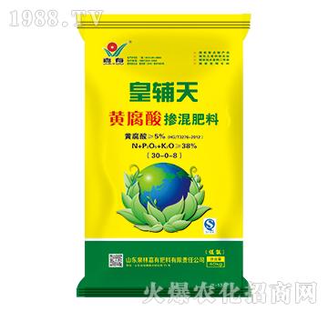 ���o���S���ᓽ�����3