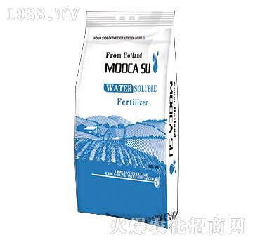 平衡型大量元素水溶肥19-19-19+TE-強(qiáng)芯國際