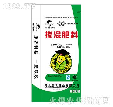 �������28-6-6-