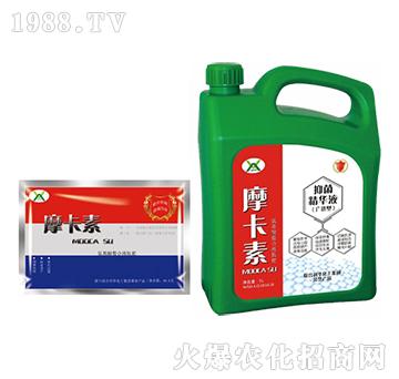 �V�V���־����AҺ���ؼ�