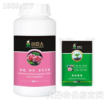 õ����ĵ�����ջ������{(di��o)��(ji��)��-С����