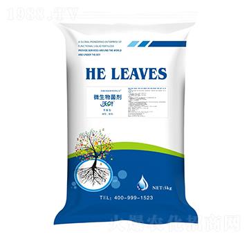 ƽ����΢�������-���~-����ʩ