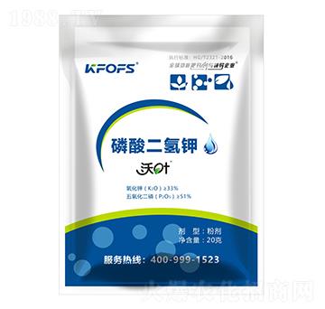 20g��������-���~-����ʩ