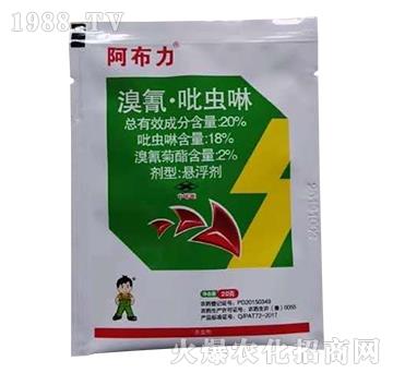 20�����衤���x��-������-С����