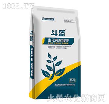 �����S�����-��ʢ-�����S