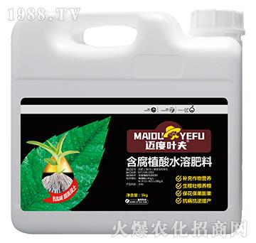 ����ֲ��ˮ�ܷ���-�~���~��