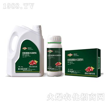 ��֦�����ی��ú�������