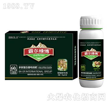 �J���Ҍ��ö������Ͼ�ĸ