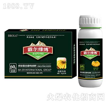 �㽶���ö������Ͼ�ĸҺ