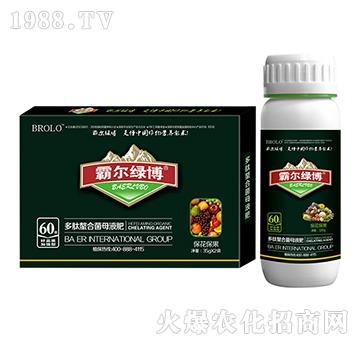 ���������Ͷ������Ͼ�ĸ