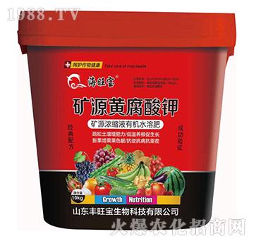 �VԴ�S�����-�S����