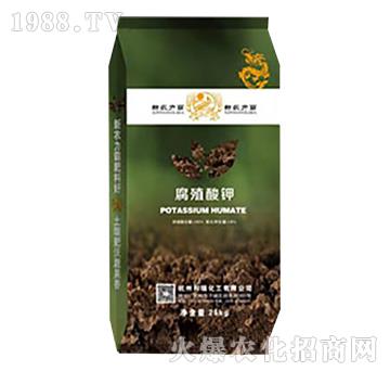 ��ֳ���-���𻯹�