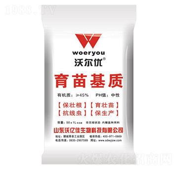 ������|(zh��)-�֠���(y��u)