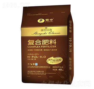 �ͺϷ���19-19-1