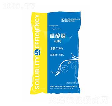 ������-���_(d��)�_