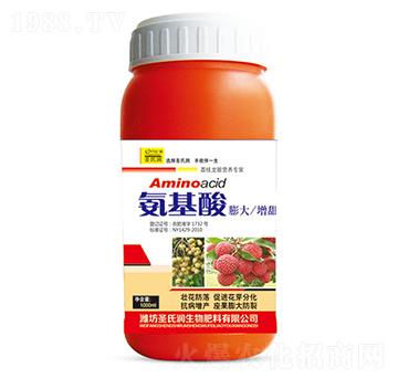 �������������-ʥ�ϝ�