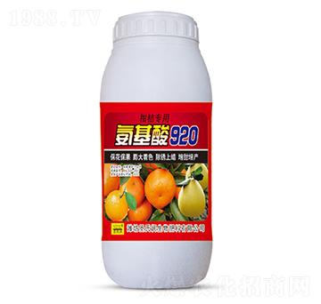 ������920-ʥ�ϝ�